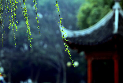 春雨润无声