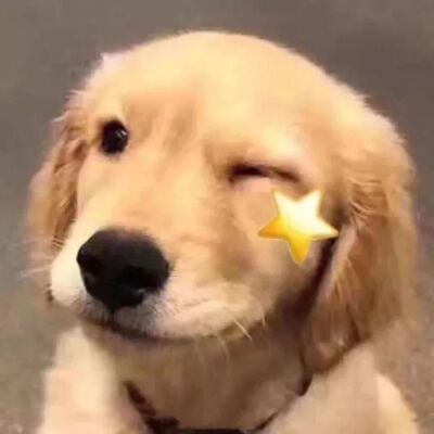 搞怪头像