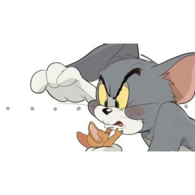 猫和老鼠的爱永不分离.