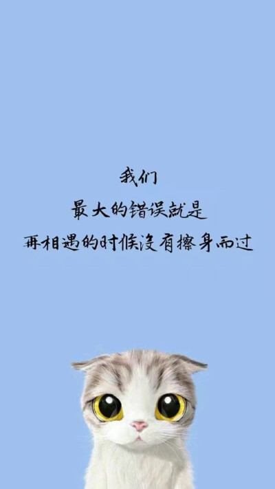 壁纸