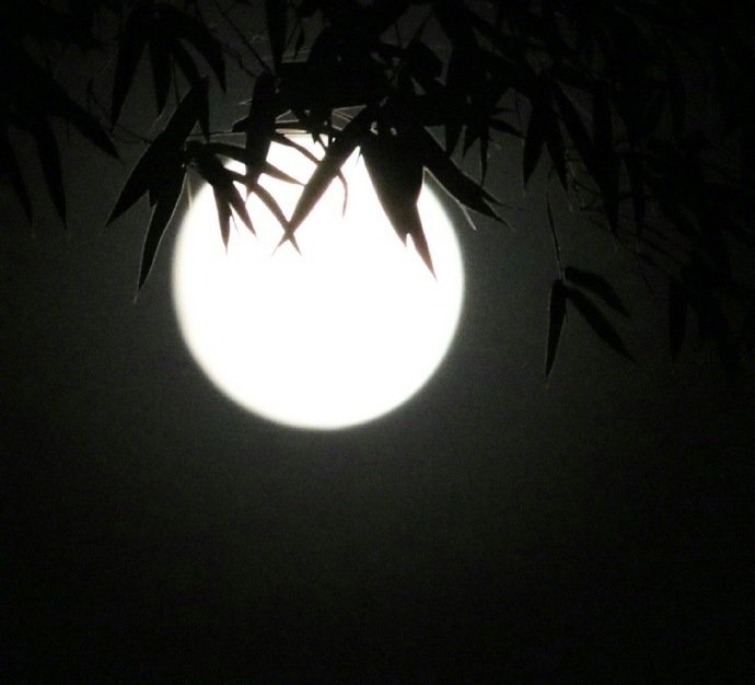 花时金谷饮,月夜竹林眠.晚安