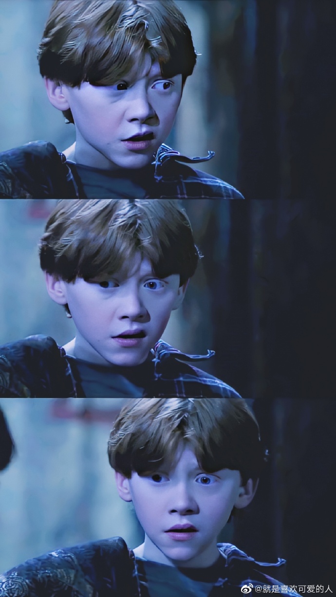 罗恩·韦斯莱(ron weasley)