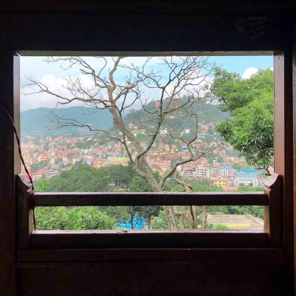 窗外- 堆糖,美图壁纸兴趣社区