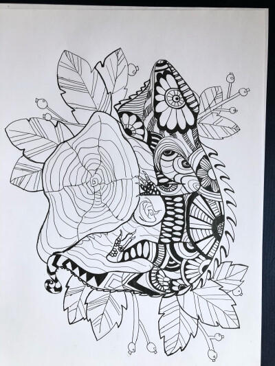 线描一组(动物植物儿童画)