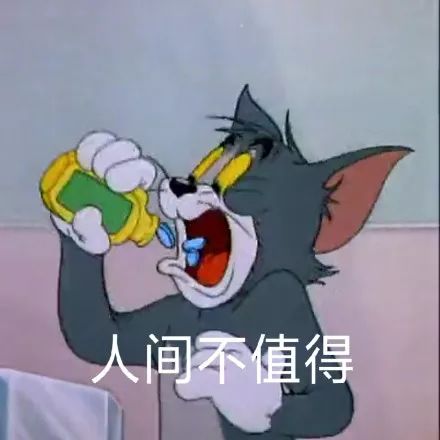 猫和老鼠 