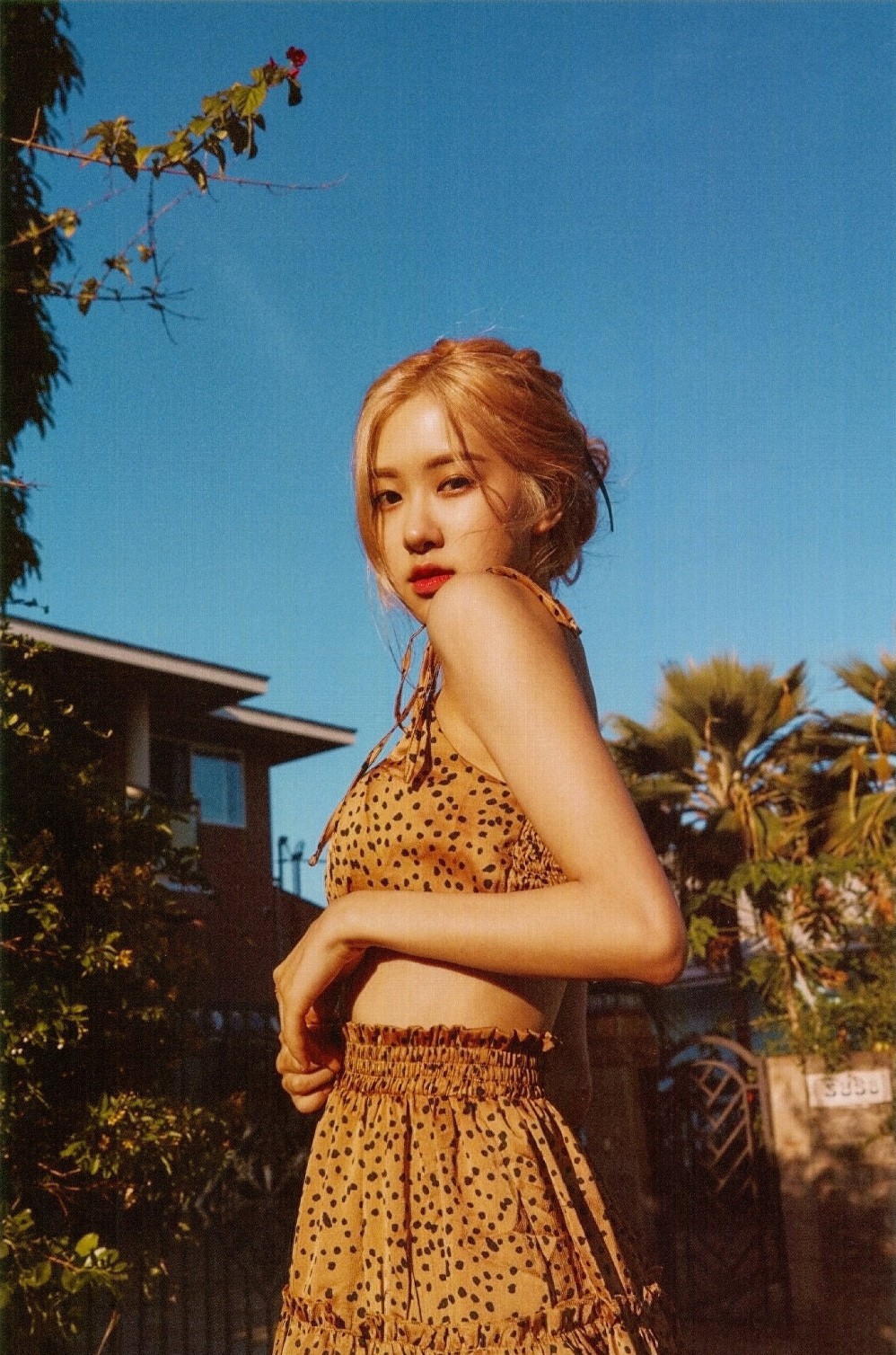 blackpink 朴彩英 rosé
