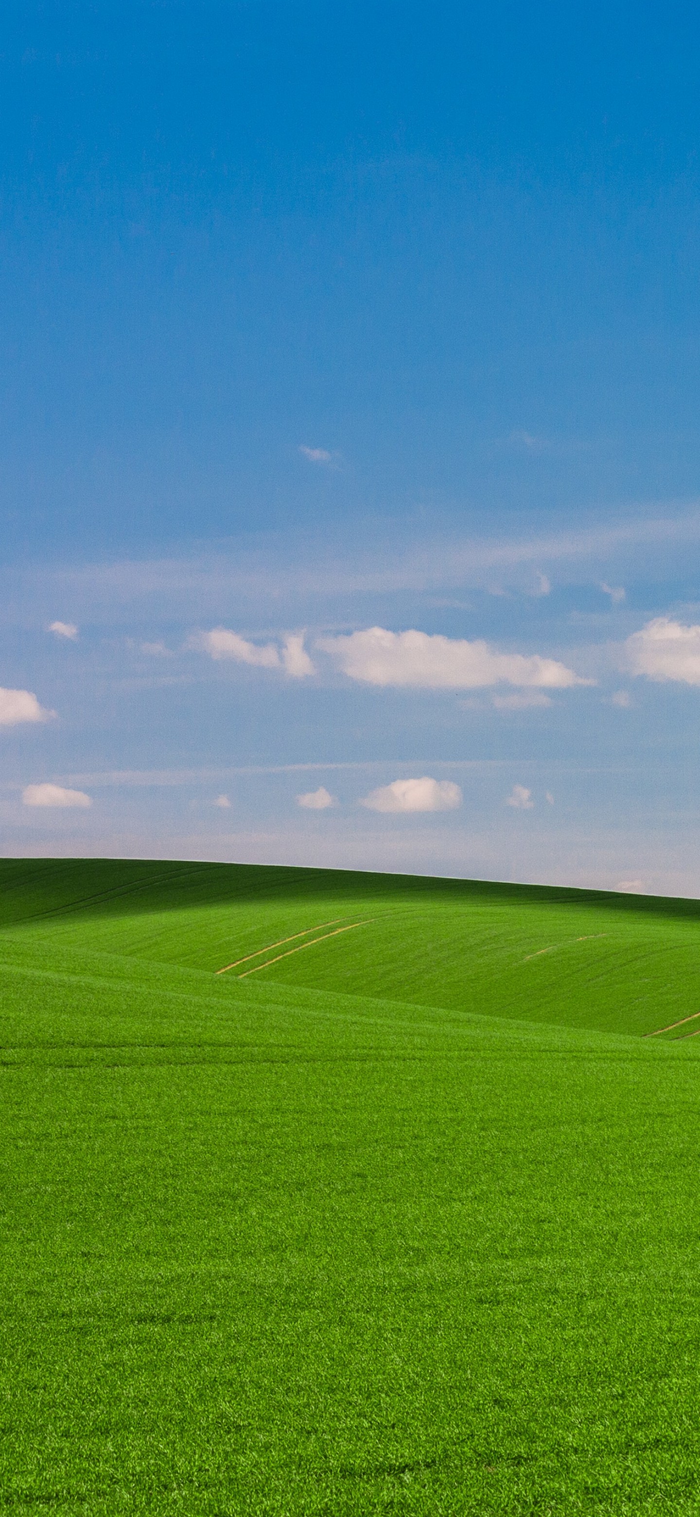 风景