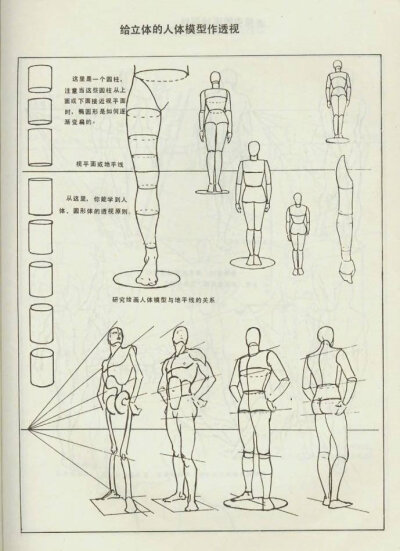 人体结构