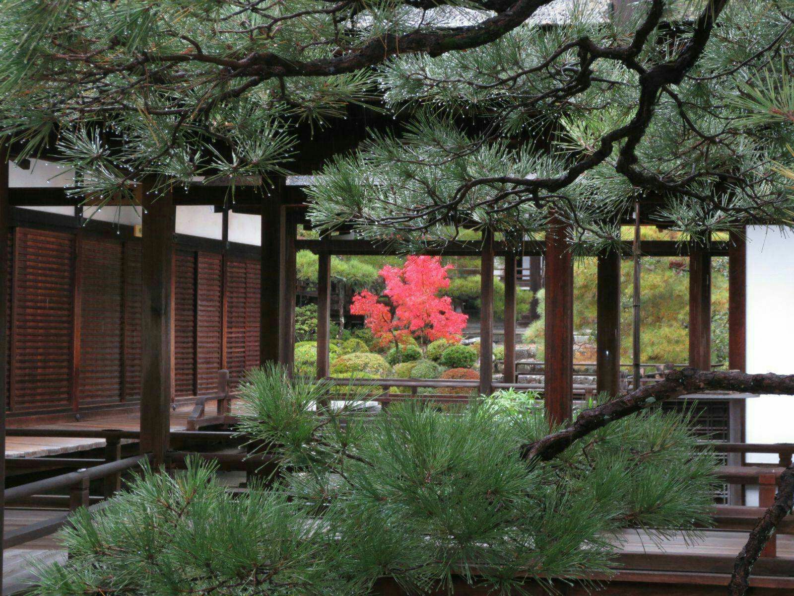 龙安寺 堆糖 美图壁纸兴趣社区