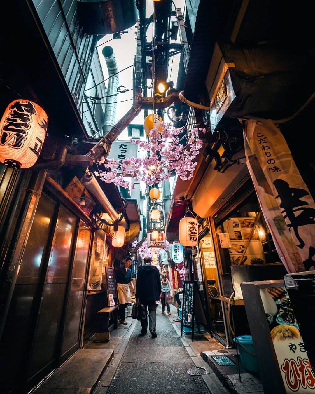 日本 风景