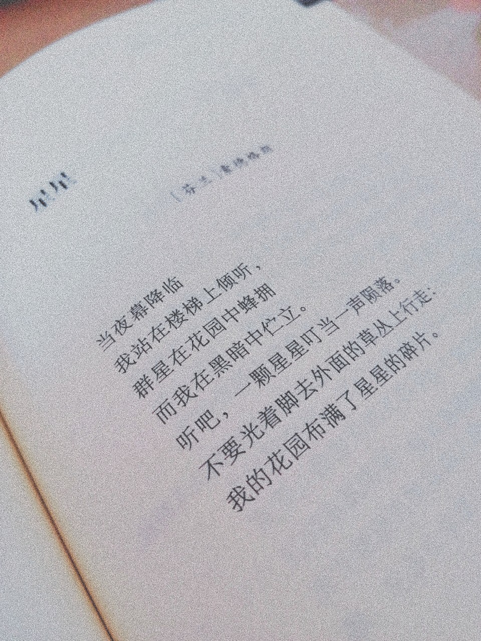 读书- 堆糖,美图壁纸兴趣社区