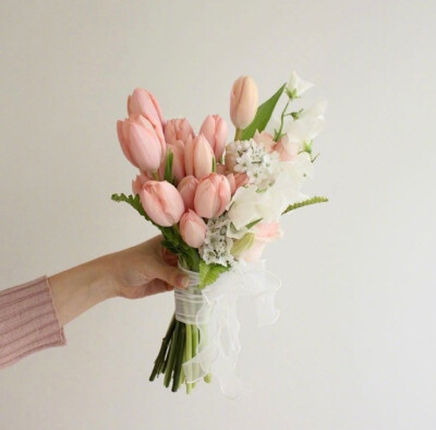 郁金香花语:爱的表白和永恒的祝福花背景图壁纸头像