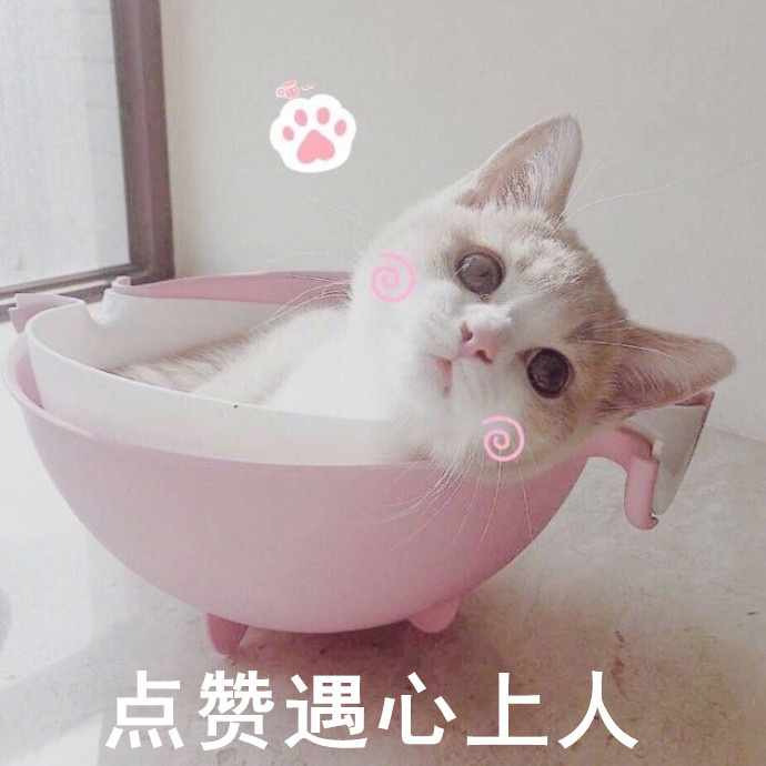 点赞要么恋爱 要么暴富