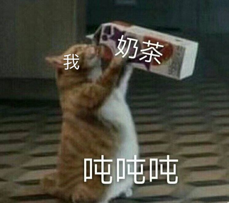 有那么多表情包又有什么用呢