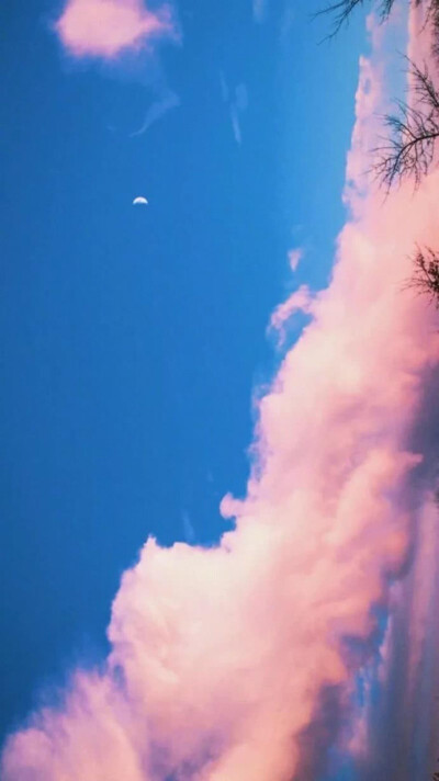 天空仙 