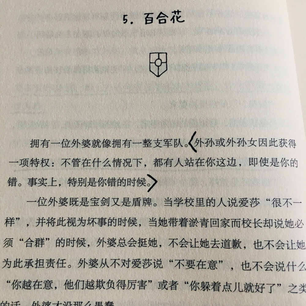 《外婆的道歉信》
