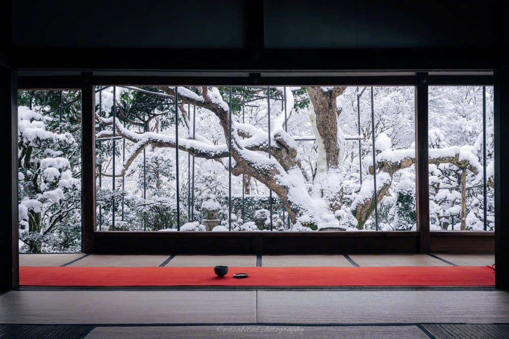 京都宝泉院雪景 堆糖 美图壁纸兴趣社区