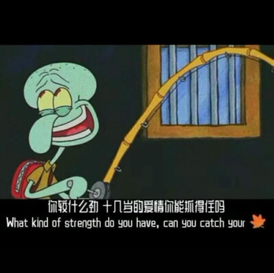 壁纸【丧】
