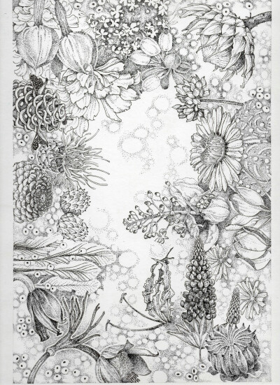 植物,黑白画