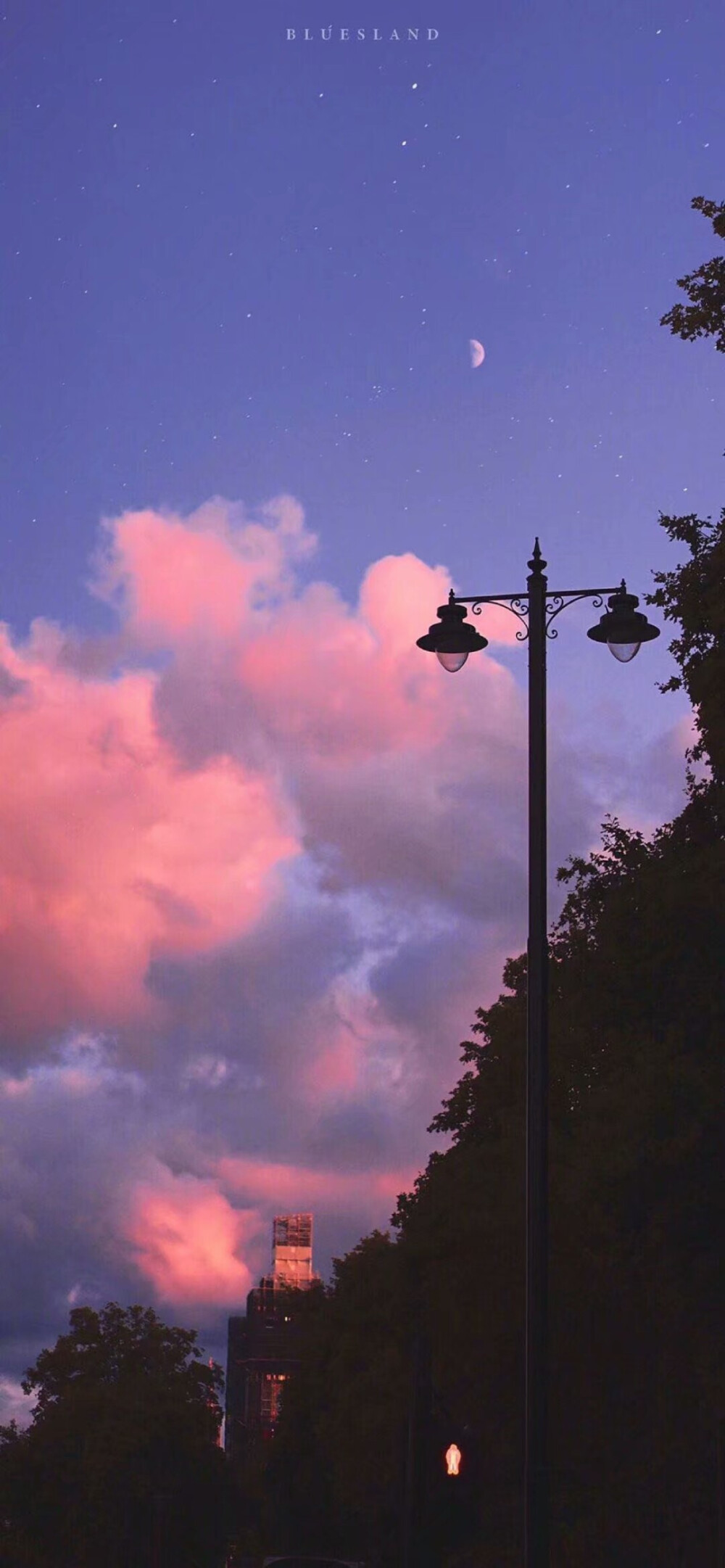 黄昏 黎明 粉色 天空 路灯 壁纸