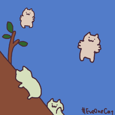 猫咪gif表情包可爱死啦