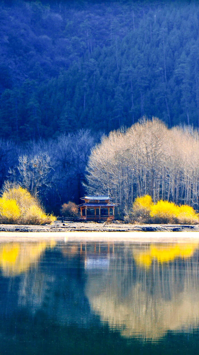 美丽的雪景 堆糖 美图壁纸兴趣社区