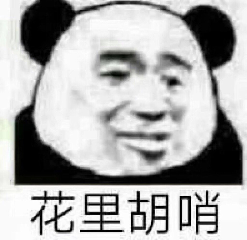 来自熊猫头的威胁熊猫头表情包 沙雕互怼 斗图 吵架当我遇见你的那天