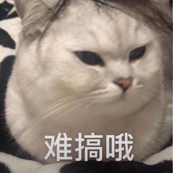 分享一个循环:单身时:好想谈恋爱啊有人追:滚 莫挨老子刚在一起:甜甜