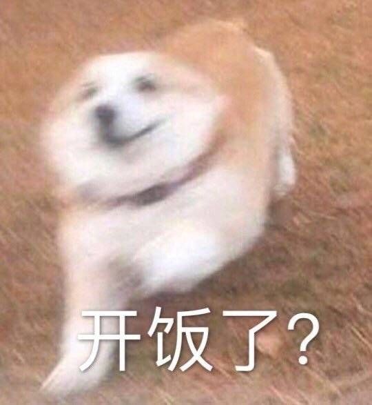 狗狗表情包