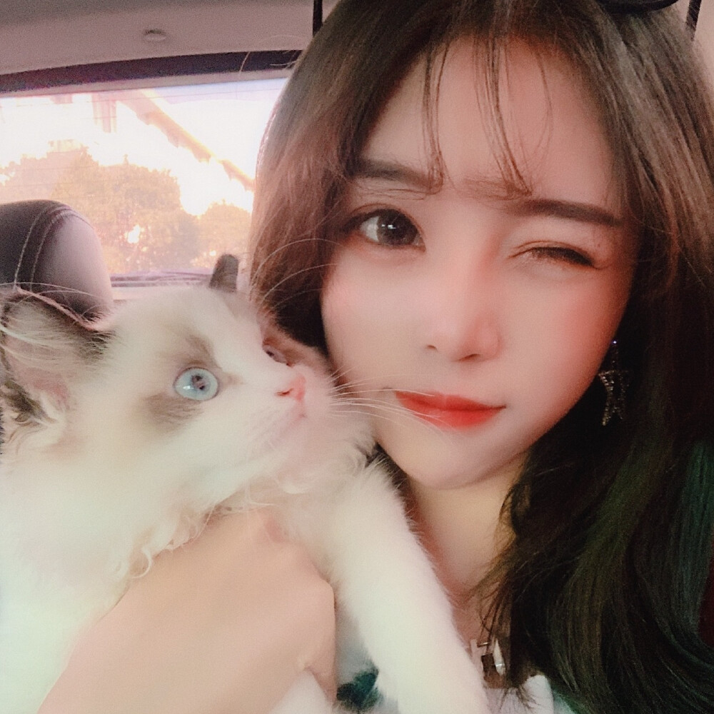 抱猫女头二传注明/ 阿黎