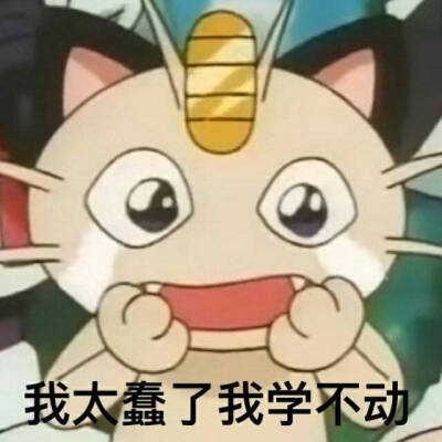 考试沙雕表情包