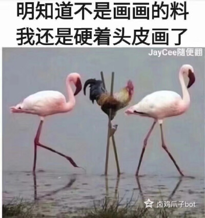 表情包不会画画