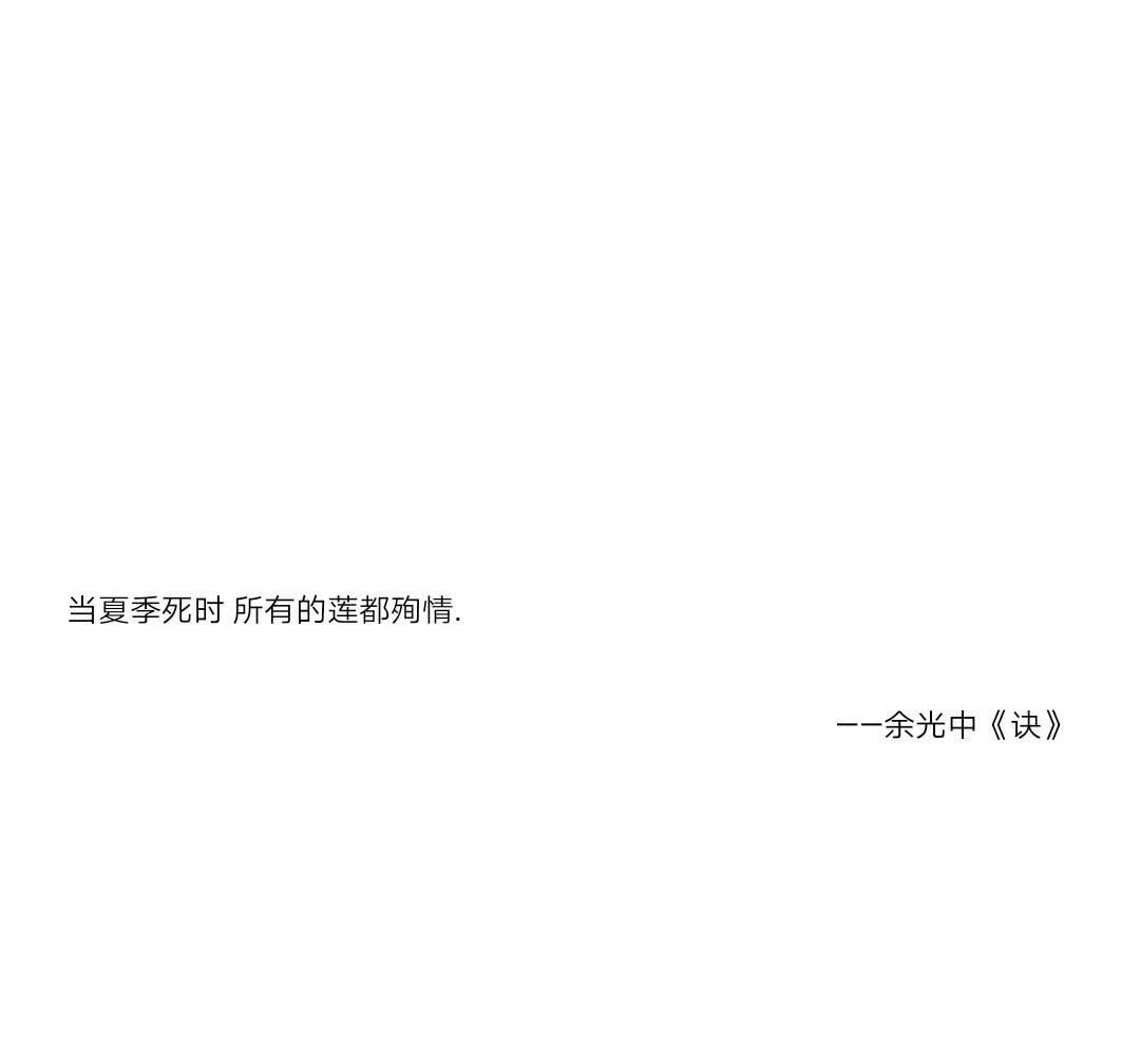 文字头像#白底