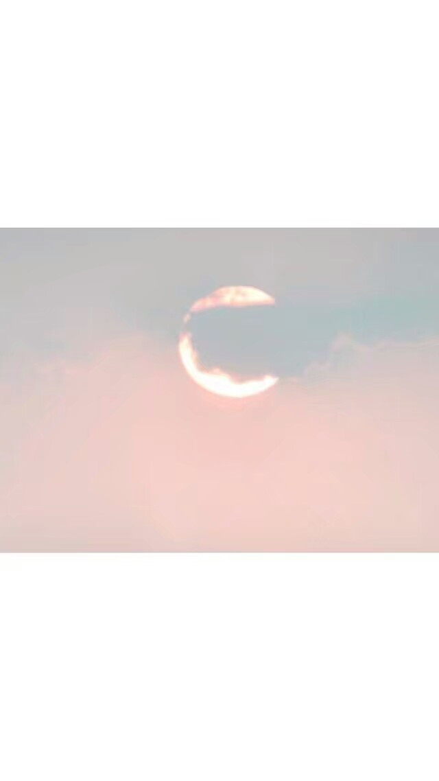 高冷