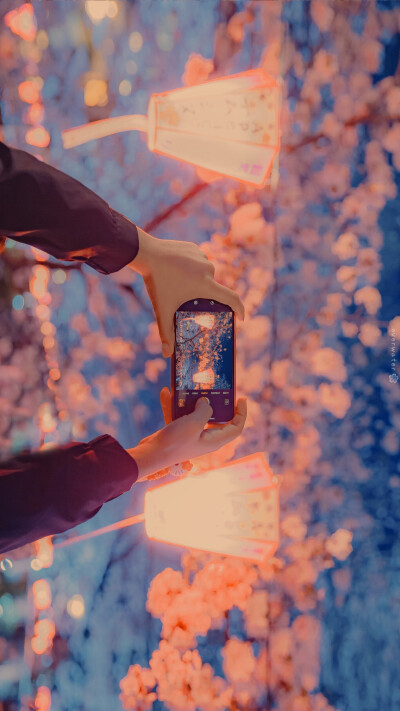 ipad壁纸