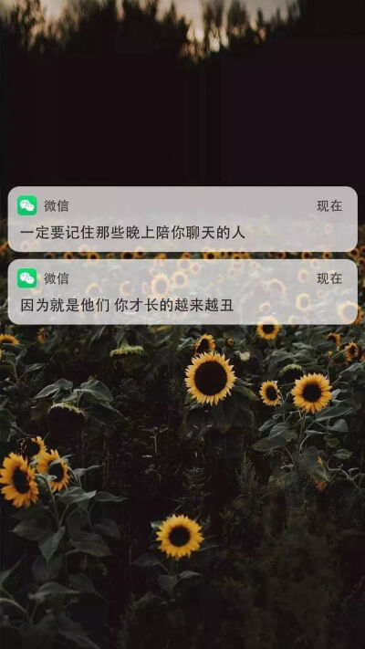 微信锁屏壁纸