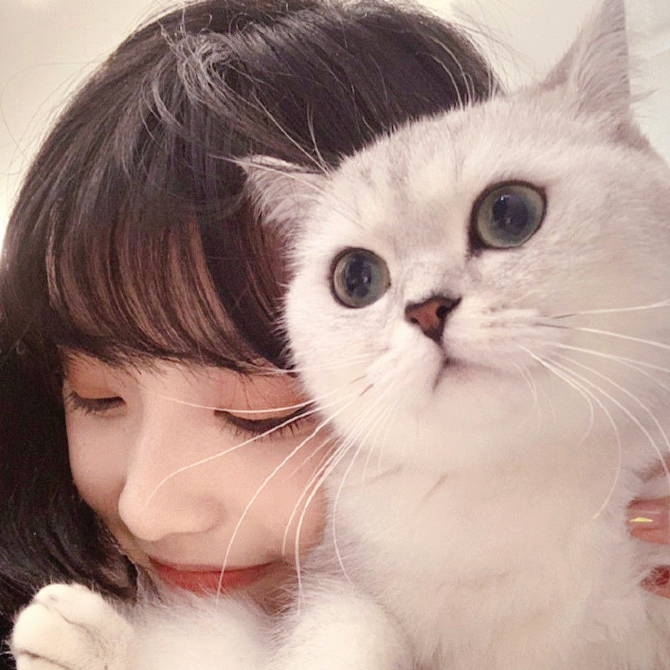 抱猫女头二传注明/ 阿黎