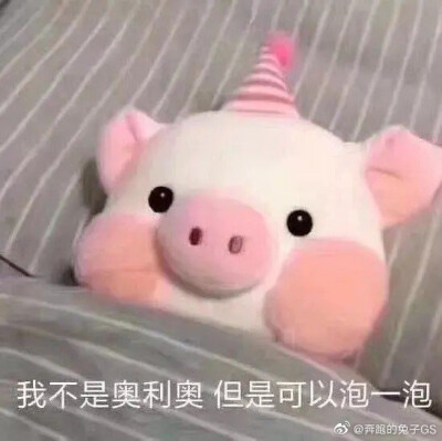 表情包吃饭睡觉,保持可爱