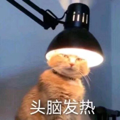 沙雕表情包