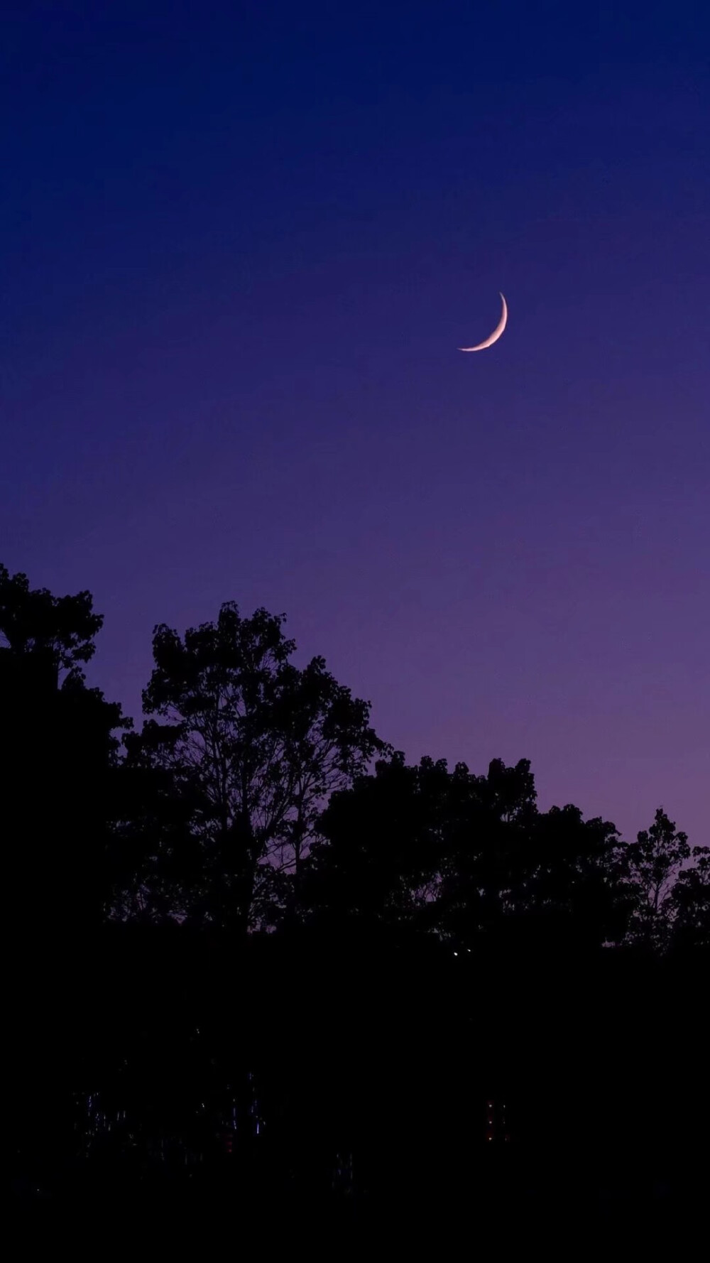 夜晚 蓝紫色星空 壁纸