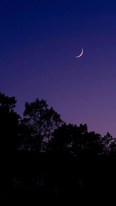 夜晚 蓝紫色星空 壁纸