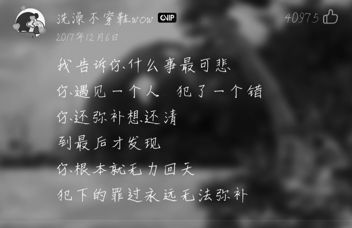 终其一生 满是遗憾.网易云评论