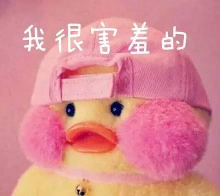 玻尿酸鸭表情包