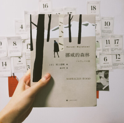 《挪威的森林》— 村上春树(2020.2.