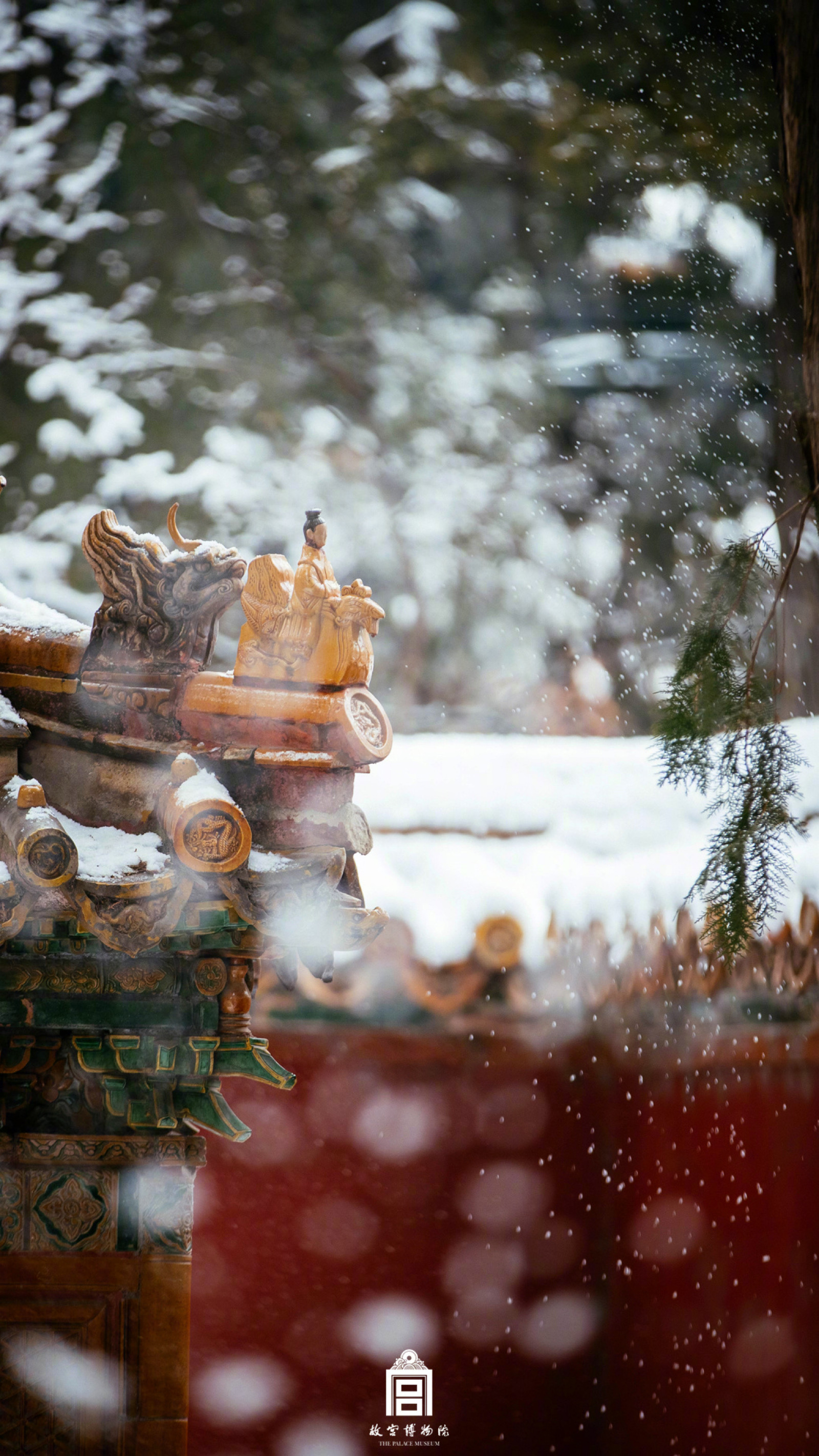 宫墙 花影 雪景