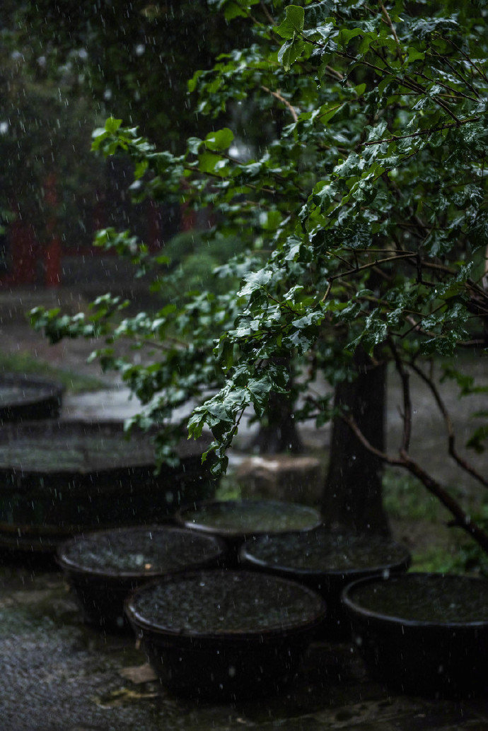 花落花开莺自语,东风吹水细鳞鳞 张栻《题城南书院三十四咏》