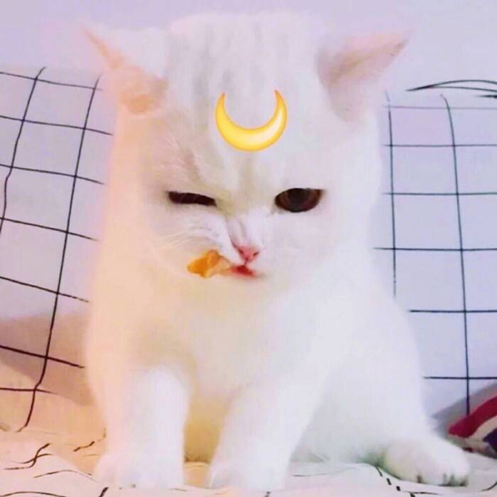 头像图片