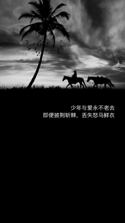 怎么样才能忘记一个人 - 堆糖,美图壁纸兴趣社区