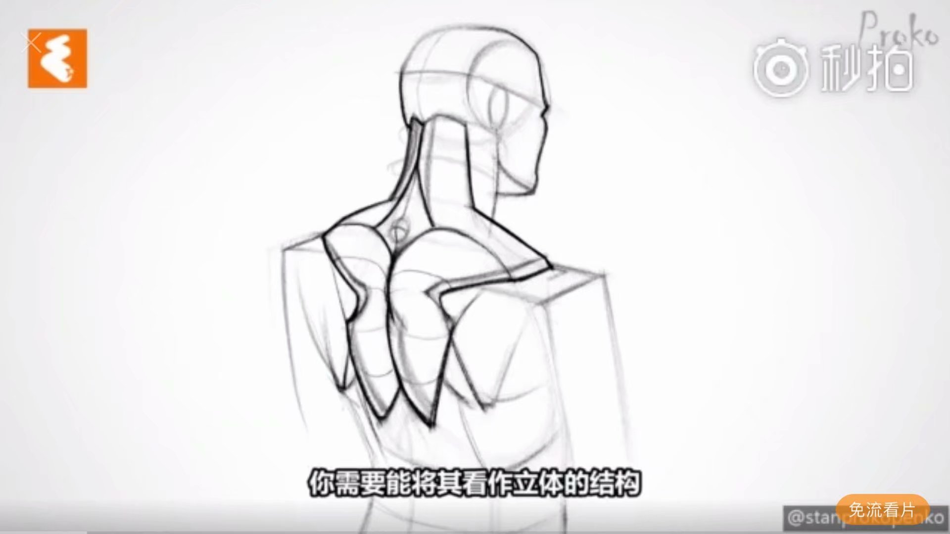 肌肉- 堆糖,美图壁纸兴趣社区