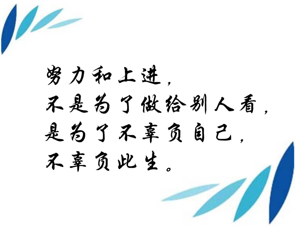 努力和上进,不是为了做给别人看,是为了不辜负自己,不辜负此生.